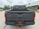Used 2016 Ford F150 XLT w/ Equipment Group 302A Luxury image 6