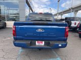 New 2025 Ford F150 STX w/ Equipment Group 200A image 4