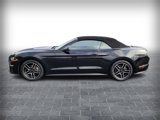 Used 2023 Ford Mustang Premium image 2