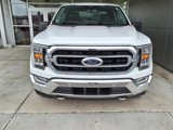 Used 2021 Ford F150 XLT w/ Equipment Group 302A High image 2