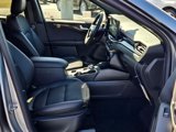 Used 2024 Ford Escape ST-Line w/ Tech Pack #1 image 5