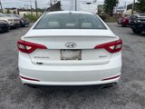 Used 2017 Hyundai Sonata Sport image 4