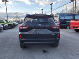 Used 2023 Ford Escape ST-Line Select image 5