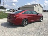 Used 2016 Hyundai Sonata SE image 3