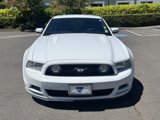Used 2014 Ford Mustang GT w/ Equipment Group 301A image 2