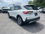 Used 2020 Ford Escape SEL image 5