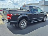 Used 2018 Ford F150 XLT w/ Equipment Group 302A Luxury image 3