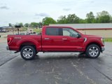 Used 2022 Ford F150 XLT w/ Equipment Group 302A High image 2