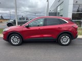 Certified 2022 Ford Escape SE w/ Convenience Package image 4