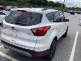 Used 2019 Ford Escape SEL image 4