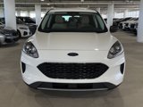 Used 2022 Ford Escape SE image 3
