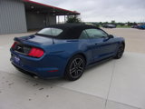 Used 2022 Ford Mustang Premium image 3