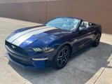 Used 2019 Ford Mustang Premium image 2