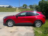 Used 2023 Ford Escape Active w/ Tech Pack #1 image 6
