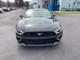 Used 2019 Ford Mustang Coupe image 4