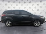 Used 2015 Ford Escape Titanium image 6
