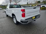 Certified 2024 Chevrolet Silverado 1500 W/T w/ WT Fleet Convenience Package image 4