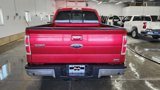 Used 2010 Ford F150 FX4 image 5