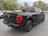 Used 2021 Ford F150 XLT w/ Equipment Group 302A High image 5