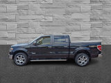 Used 2013 Ford F150 Lariat w/ Luxury Equipment Group image 6