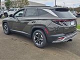 New 2025 Hyundai Tucson SEL image 6