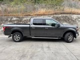 Used 2018 Ford F150 XLT w/ Equipment Group 302A Luxury image 2
