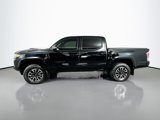 Used 2023 Toyota Tacoma TRD Sport w/ Technology Package image 4