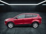 Used 2019 Ford Escape SE image 3
