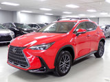 Used 2024 Lexus NX 350 AWD w/ Cold Area Package image 4