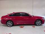 Used 2019 Honda Accord Sport image 2