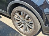 Used 2016 Ford Explorer Platinum image 5