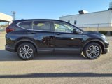 Used 2022 Honda CR-V EX-L image 3