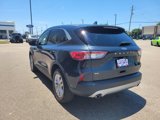 Used 2022 Ford Escape SE w/ Convenience Package image 5