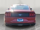 Used 2020 Ford Mustang Coupe image 5