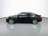 Used 2014 Honda Accord Sport image 4