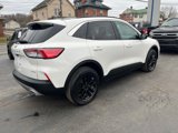 Used 2022 Ford Escape SE w/ Convenience Package image 2