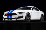 Used 2018 Ford Mustang Shelby GT350R w/ GT350R Equipment Group 920A image 3
