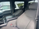 Used 2016 Ford F150 XLT w/ Equipment Group 302A Luxury image 3
