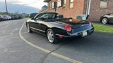 Used 2002 Ford Thunderbird image 6