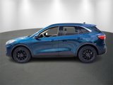 Used 2020 Ford Escape SE image 4
