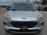 Used 2022 Ford Escape SE image 4