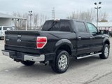 Used 2012 Ford F150 XLT w/ XLT Chrome Pkg image 5