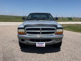 Used 2002 Dodge Dakota SLT image 2