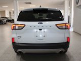 Used 2022 Ford Escape SE w/ Convenience Package image 5