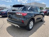 Certified 2022 Ford Escape SE w/ Convenience Package image 4