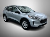 Used 2022 Ford Escape SE w/ Cold Weather Package image 3