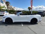 Used 2016 Ford Mustang Premium image 4