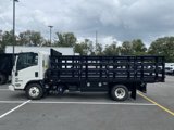 New 2024 Isuzu NPR image 4