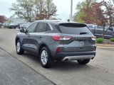 Used 2022 Ford Escape SE w/ Convenience Package image 4