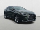 New 2025 Lexus NX 350 AWD w/ Accessory Package (K3) image 3